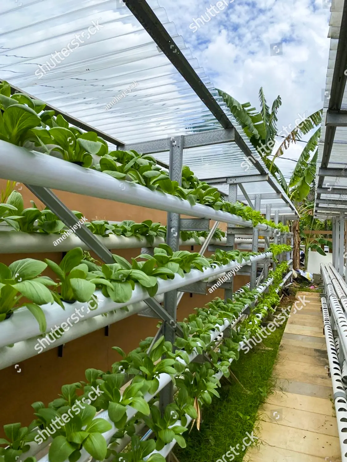 Commercial greenhouse with integrated growing systems